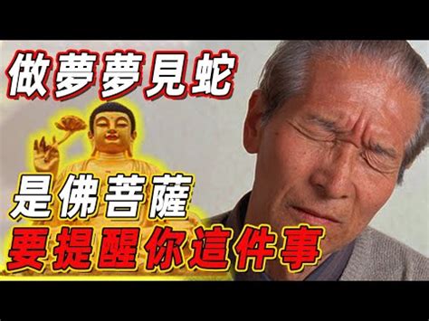 小鳥代表幾號|【539解夢號碼】做夢夢到蛇號碼是多少？周公解。